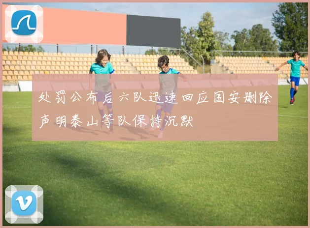 处罚公布后六队迅速回应国安删除声明泰山等队保持沉默